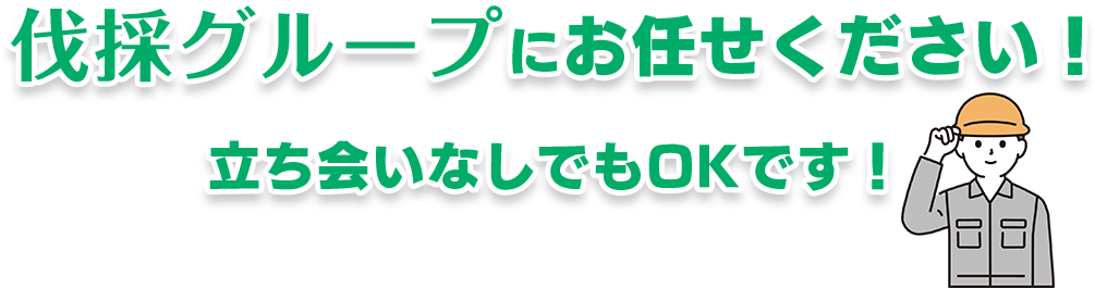 伐採グループにお任せください!立ち会いなしでもOKです!
